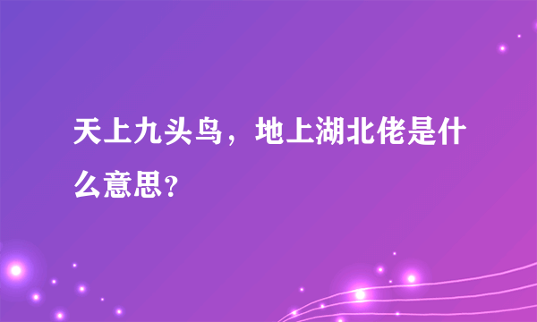 天上九头鸟，地上湖北佬是什么意思？