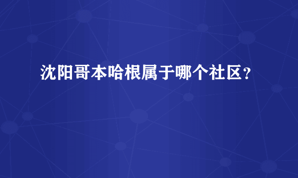 沈阳哥本哈根属于哪个社区？