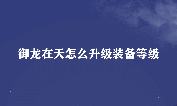 御龙在天怎么升级装备等级