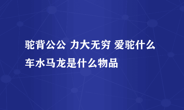 驼背公公 力大无穷 爱驼什么 车水马龙是什么物品