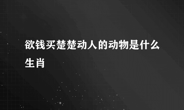 欲钱买楚楚动人的动物是什么生肖