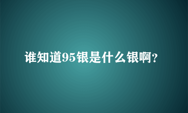 谁知道95银是什么银啊？