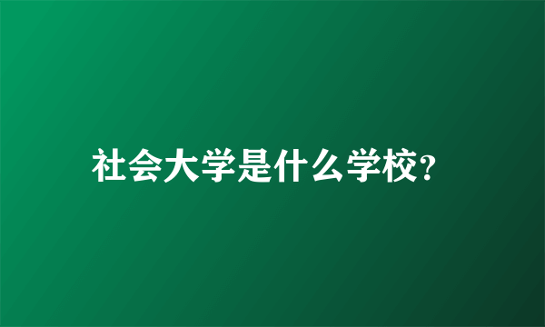 社会大学是什么学校？