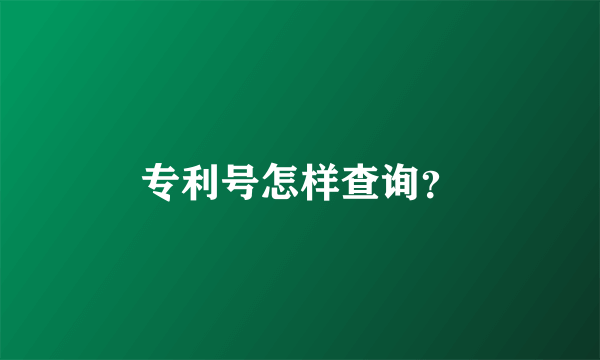 专利号怎样查询？