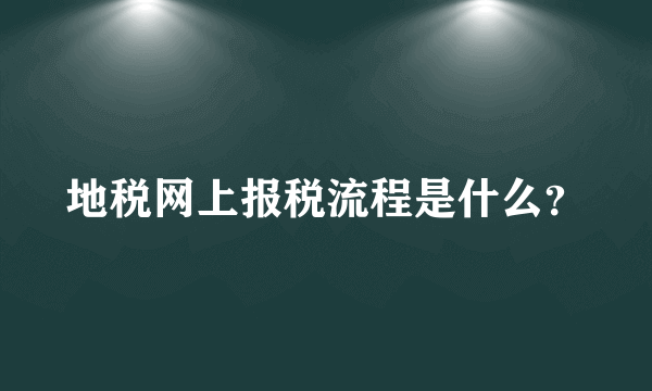 地税网上报税流程是什么？