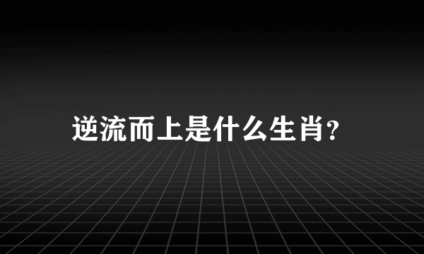 逆流而上是什么生肖？