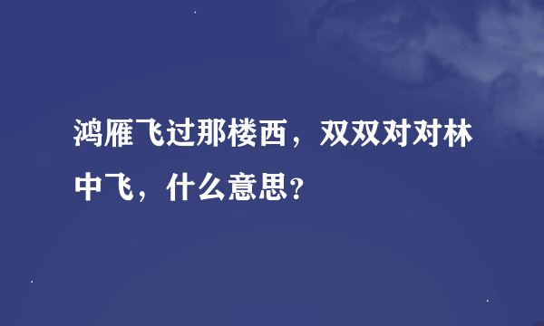 鸿雁飞过那楼西，双双对对林中飞，什么意思？