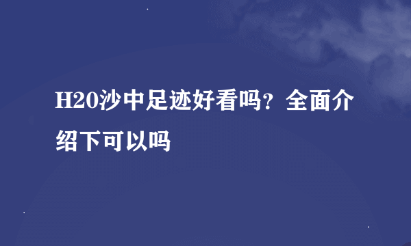 H20沙中足迹好看吗？全面介绍下可以吗