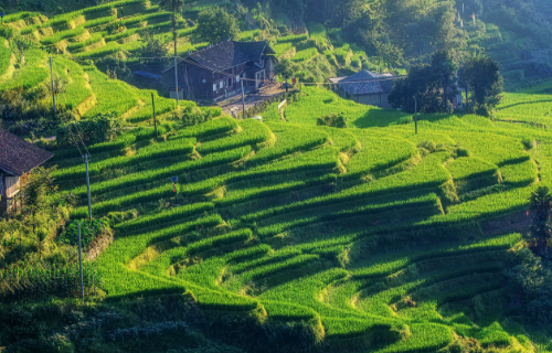 娄底旅游景点