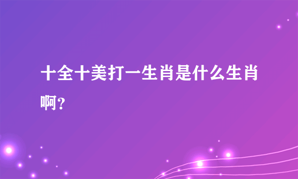 十全十美打一生肖是什么生肖啊？