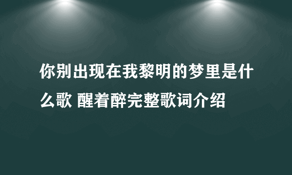 你别出现在我黎明的梦里是什么歌 醒着醉完整歌词介绍