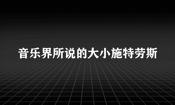 音乐界所说的大小施特劳斯