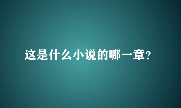 这是什么小说的哪一章？