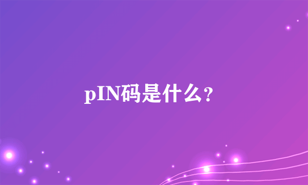 pIN码是什么？