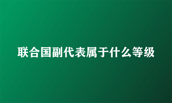 联合国副代表属于什么等级