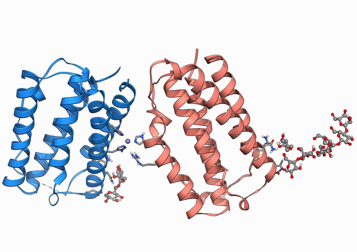 生物学SSB是什么意思