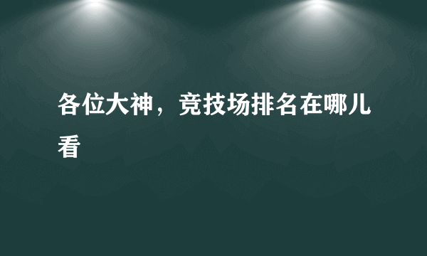 各位大神，竞技场排名在哪儿看