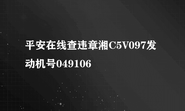 平安在线查违章湘C5V097发动机号049106