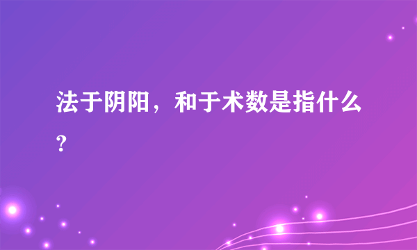 法于阴阳，和于术数是指什么?