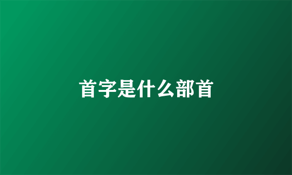 首字是什么部首