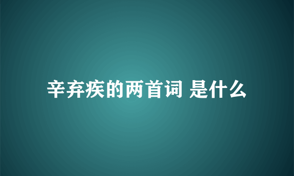 辛弃疾的两首词 是什么