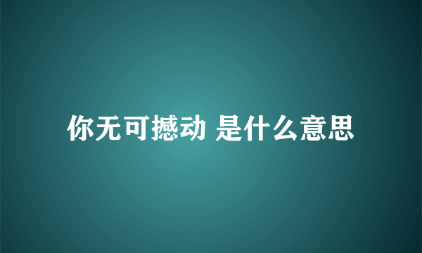 你无可撼动 是什么意思