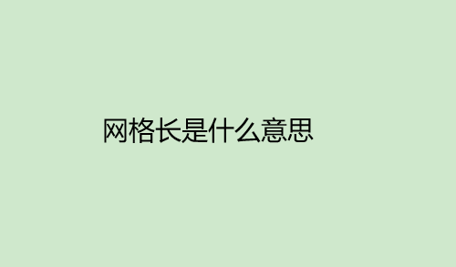 网格长是什么意思