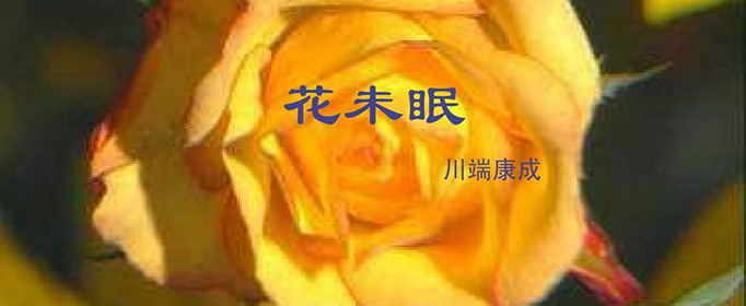 凌晨四点钟我看到海棠花未眠下一句是什么？