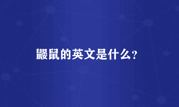 鼹鼠的英文是什么？