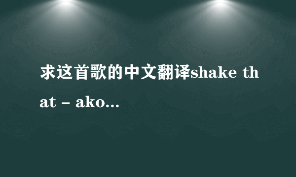 求这首歌的中文翻译shake that - akon ft eminem