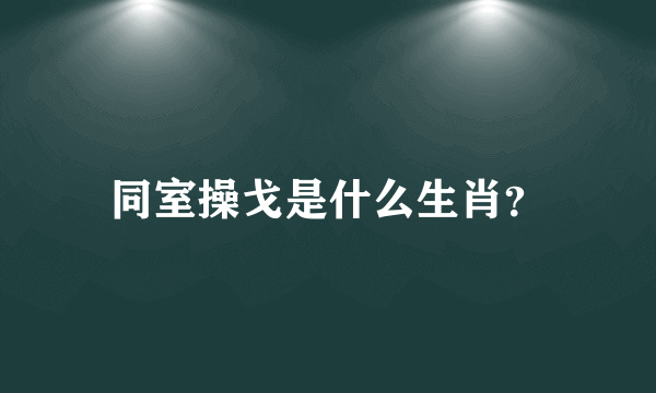 同室操戈是什么生肖？