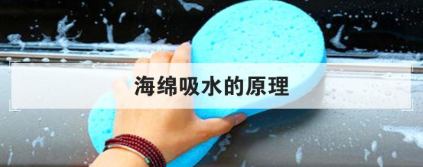 海绵吸水的原理