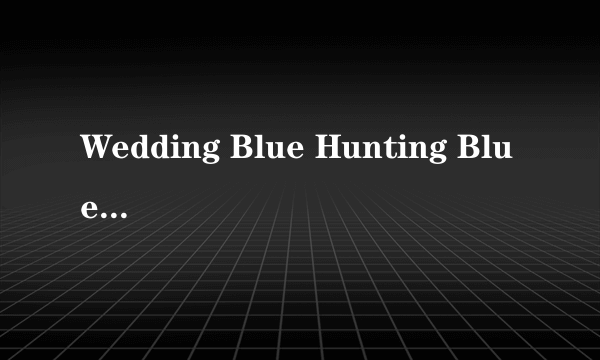 Wedding Blue Hunting Blue 安装不了，求助