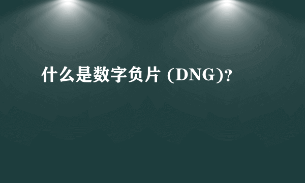 什么是数字负片 (DNG)？