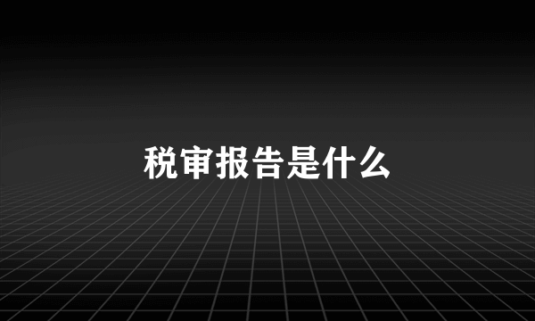 税审报告是什么