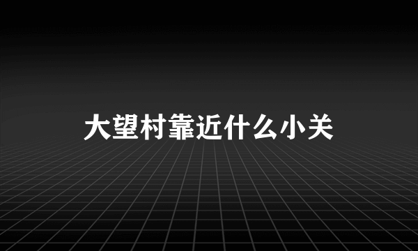 大望村靠近什么小关