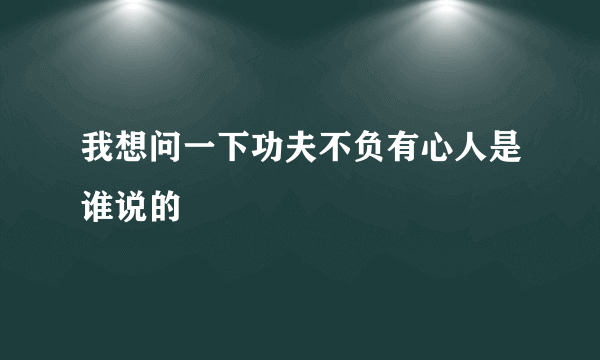 我想问一下功夫不负有心人是谁说的