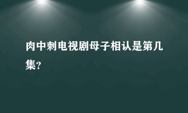 肉中刺电视剧母子相认是第几集？