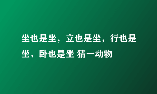 坐也是坐，立也是坐，行也是坐，卧也是坐 猜一动物