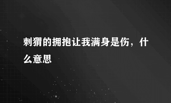 刺猬的拥抱让我满身是伤，什么意思