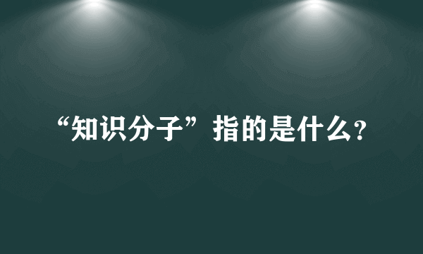 “知识分子”指的是什么？