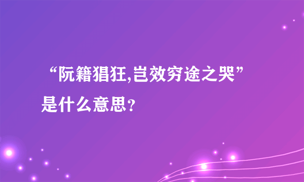 “阮籍猖狂,岂效穷途之哭”是什么意思？