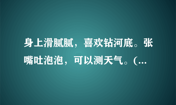 身上滑腻腻，喜欢钻河底。张嘴吐泡泡，可以测天气。(打一动物名)