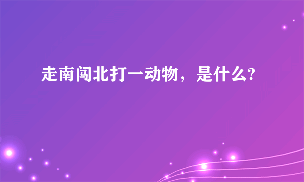 走南闯北打一动物，是什么?