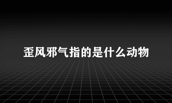 歪风邪气指的是什么动物