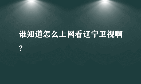 谁知道怎么上网看辽宁卫视啊?