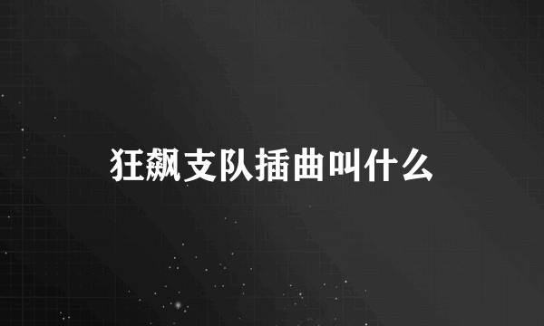 狂飙支队插曲叫什么