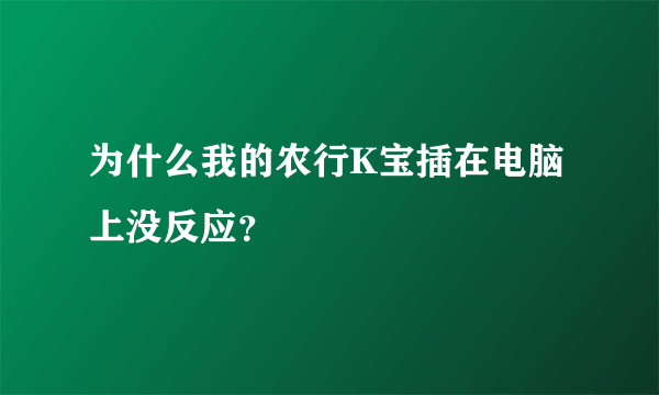 为什么我的农行K宝插在电脑上没反应？