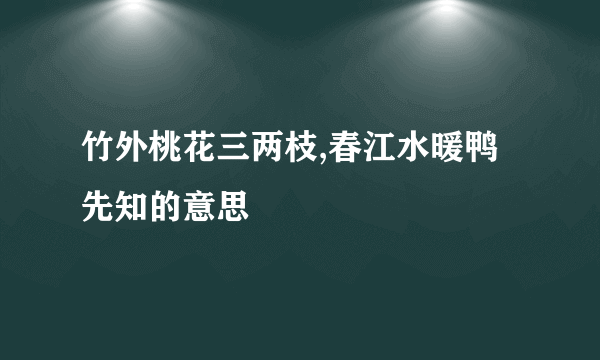 竹外桃花三两枝,春江水暖鸭先知的意思