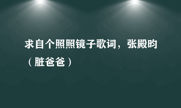 求自个照照镜子歌词，张殿昀（脏爸爸）